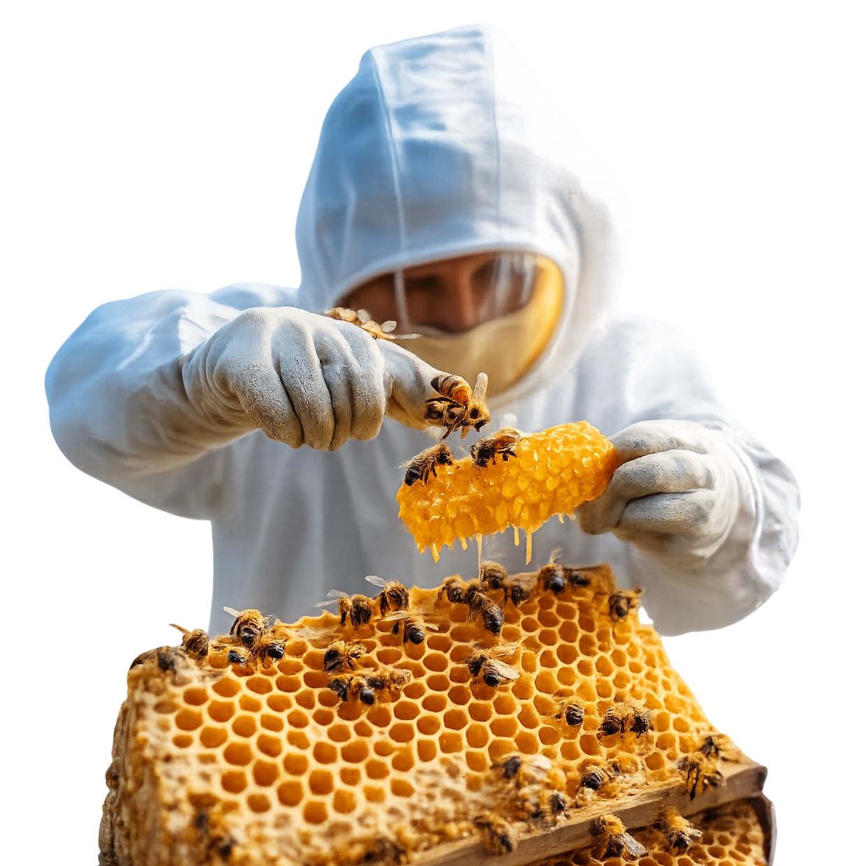 Amudhra Beekeeping Team