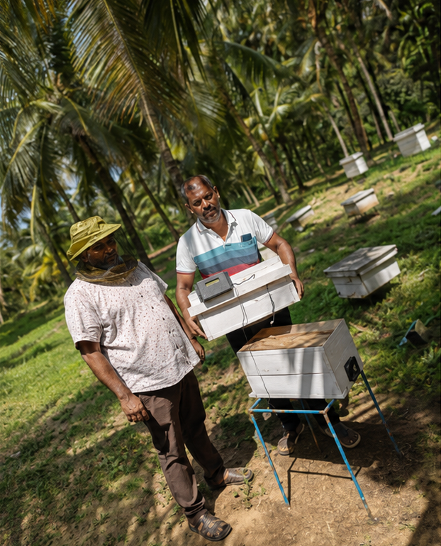 Amudhra Smart Beekeeping