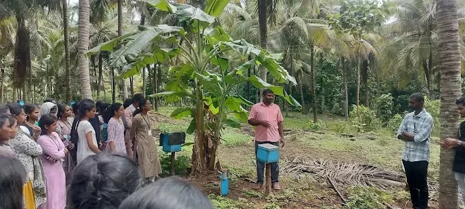 Amudhra's early bee farm and founder