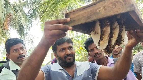 Amudhra beekeeping press coverage