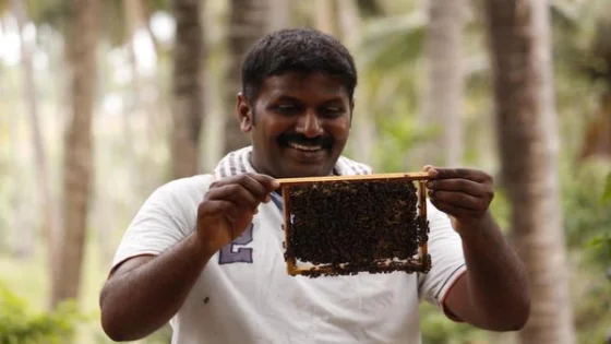 Amudhra beekeeping press coverage