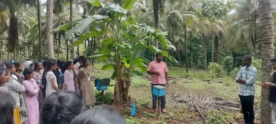 Amudhra beekeeping press coverage