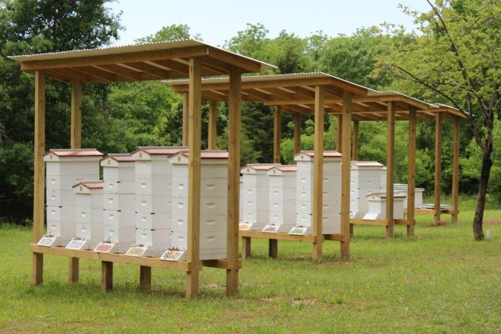 Smart Hive Solutions
