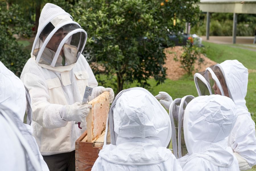 Beekeeping Training Programs